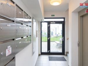 Pronájem bytu 1+kk, Plzeň - Litice, Vysoká, 38 m2