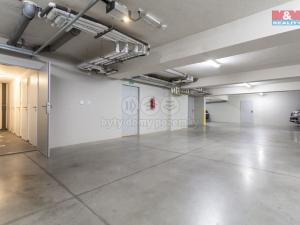 Pronájem bytu 1+kk, Plzeň - Litice, Vysoká, 38 m2