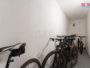 Pronájem bytu 1+kk, Plzeň - Litice, Vysoká, 38 m2