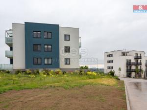 Pronájem bytu 1+kk, Plzeň - Litice, Vysoká, 38 m2