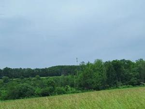 Prodej zahrady, Bechlín, 620 m2