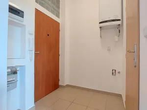 Pronájem bytu 1+kk, Brno, Botanická, 32 m2