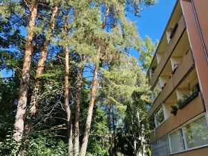 Prodej bytu 3+1, Brno, Záhřebská, 73 m2