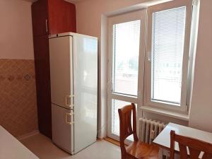 Pronájem bytu 1+1, Ostrava, Opavská, 42 m2