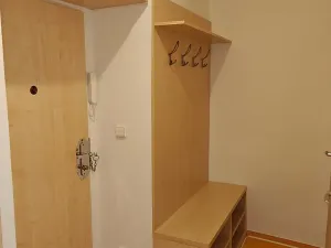 Pronájem bytu 1+1, Ostrava, Opavská, 42 m2