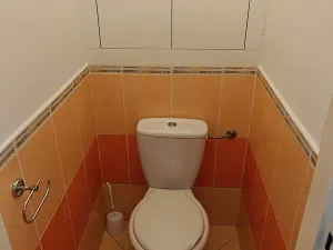Pronájem bytu 1+1, Ostrava, Opavská, 42 m2