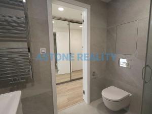 Pronájem bytu 1+kk, Praha - Žižkov, Šrámkové, 43 m2