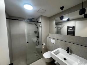 Pronájem bytu 2+kk, Praha - Vinohrady, Korunní, 62 m2