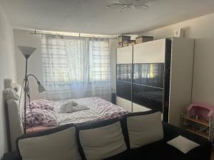 Pronájem bytu 1+1, Plzeň, Manětínská, 40 m2