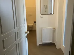 Pronájem bytu 3+kk, Praha - Žižkov, Vinohradská, 80 m2