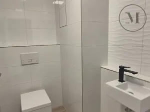Pronájem bytu 2+kk, České Budějovice, Branišovská, 78 m2