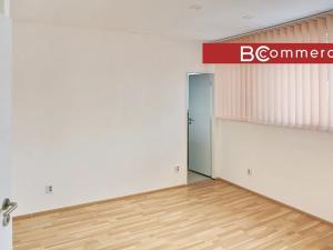 Pronájem rodinného domu, Brno, Pod Borovníkem, 330 m2