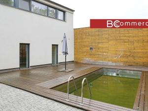 Pronájem rodinného domu, Brno, Pod Borovníkem, 330 m2
