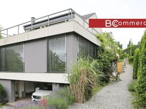 Pronájem rodinného domu, Brno, Pod Borovníkem, 330 m2