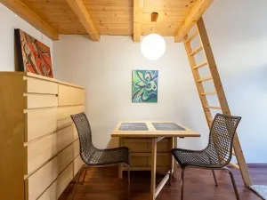 Pronájem bytu 1+kk, Praha - Podolí, Na Zlatnici, 26 m2