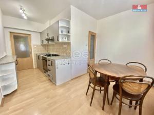 Pronájem bytu 2+1, Děčín, Lovosická, 53 m2
