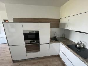 Pronájem bytu 2+kk, Liberec, U Sila, 56 m2