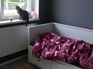 Prodej bytu 3+kk, Bašť, Bořanovická, 71 m2