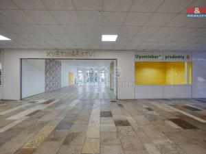 Pronájem obchodního prostoru, Třemošná, Plzeňská, 133 m2
