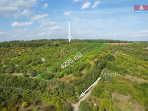 Prodej pole, Židlochovice, 4295 m2