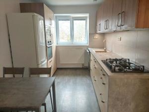 Pronájem bytu 2+1, Jihlava, Leoše Janáčka, 53 m2