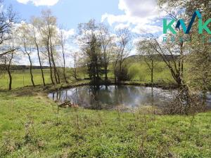 Prodej zemědělského objektu, Toužim, 810 m2