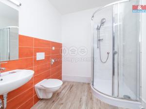 Pronájem bytu 1+kk, Studeněves, 47 m2