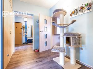Prodej bytu 3+1, Teplice, Arbesova, 75 m2