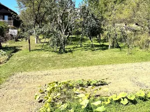Prodej chaty, Uherský Brod, 20 m2