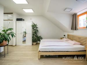 Pronájem bytu 2+kk, Jindřichův Hradec, Husova, 60 m2