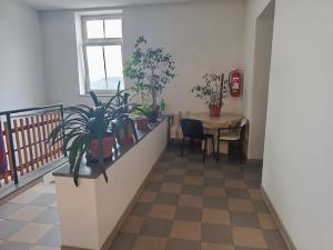Pronájem bytu 1+kk, Plzeň, Skvrňanská, 20 m2