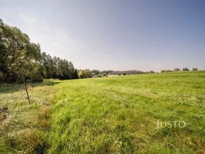 Prodej pozemku pro bydlení, Nová Ves, 2091 m2