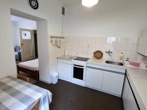 Pronájem bytu 1+1, Plzeň, Pod Záhorskem, 50 m2