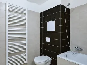 Pronájem bytu 1+kk, Plzeň, Rejskova, 50 m2