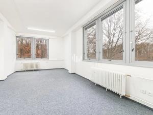 Pronájem kanceláře, Praha - Braník, Nad lesním divadlem, 135 m2