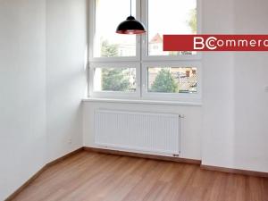 Pronájem bytu 2+kk, Brno, Křenová, 54 m2