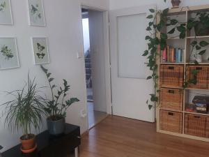 Pronájem bytu 2+kk, Brno - Černá Pole, Tišnovská, 45 m2