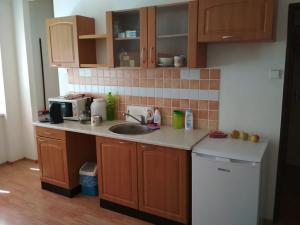 Pronájem bytu 1+kk, Plzeň, Jablonského, 27 m2