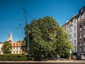 Pronájem bytu 5+kk, Praha - Nové Město, Dřevná, 262 m2
