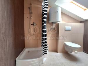 Pronájem bytu 2+kk, Rostoklaty - Nová Ves II, 47 m2