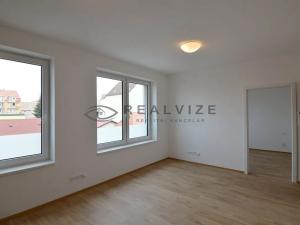 Pronájem bytu 2+kk, České Budějovice, Riegrova, 40 m2