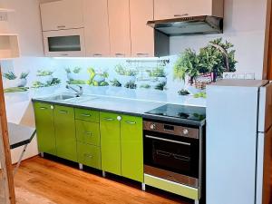 Pronájem bytu 1+kk, Boskovice, Na Výsluní, 29 m2