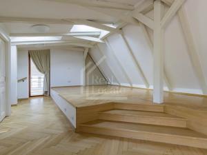 Pronájem bytu 5+1, Praha - Malá Strana, Újezd, 286 m2
