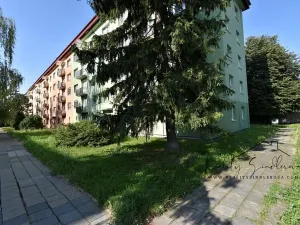 Prodej bytu 3+1, Přerov, Petřivalského, 60 m2