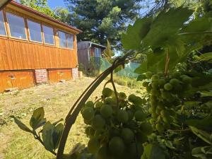 Prodej chaty, Jihlava, 17 m2