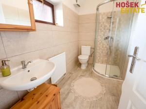 Prodej zemědělské usedlosti, Dlouhá Třebová, Na Rybníku, 270 m2