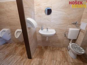 Prodej zemědělské usedlosti, Dlouhá Třebová, Na Rybníku, 270 m2