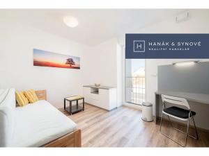 Pronájem bytu 1+kk, Brno, Křenová, 20 m2