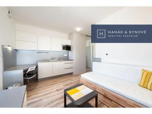 Pronájem bytu 1+kk, Brno, Křenová, 20 m2