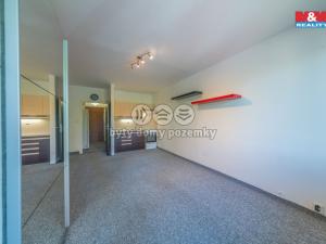 Pronájem bytu 1+kk, Orlová - Lutyně, Okružní, 31 m2